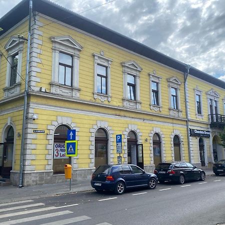 City Center Apartman Satu Mare Dış mekan fotoğraf